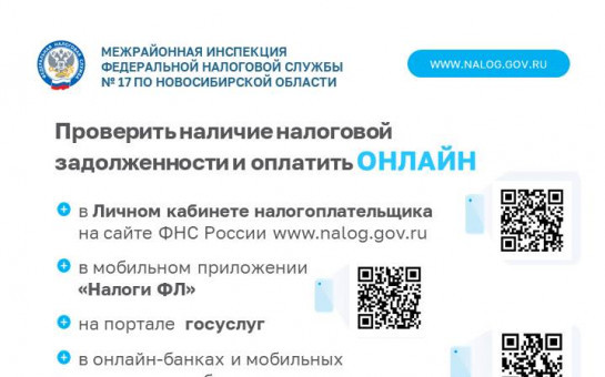 Проверка наличия налоговой задолжености